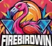 FIREBIRDWIN